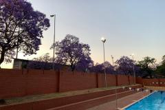 Eastern-Side-of-Pool-2